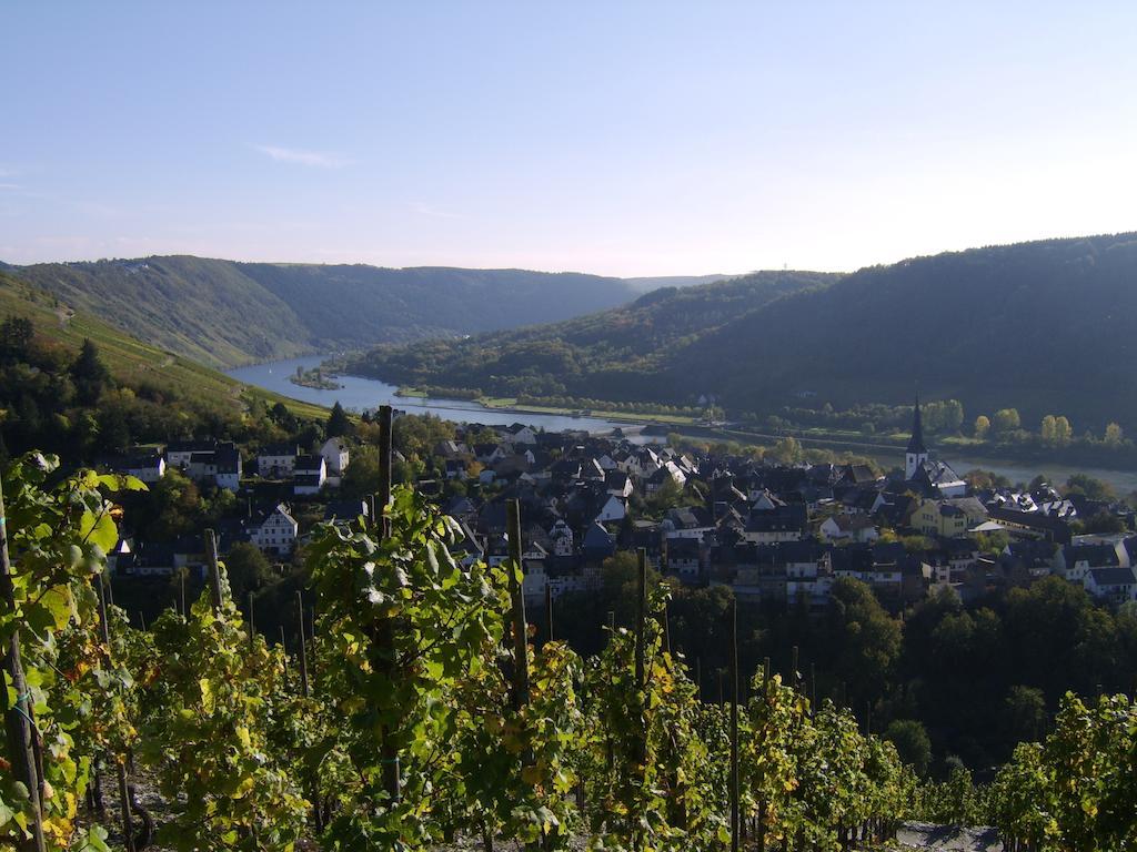 Weingut Matthias Dauns Apartman Reil Kültér fotó
