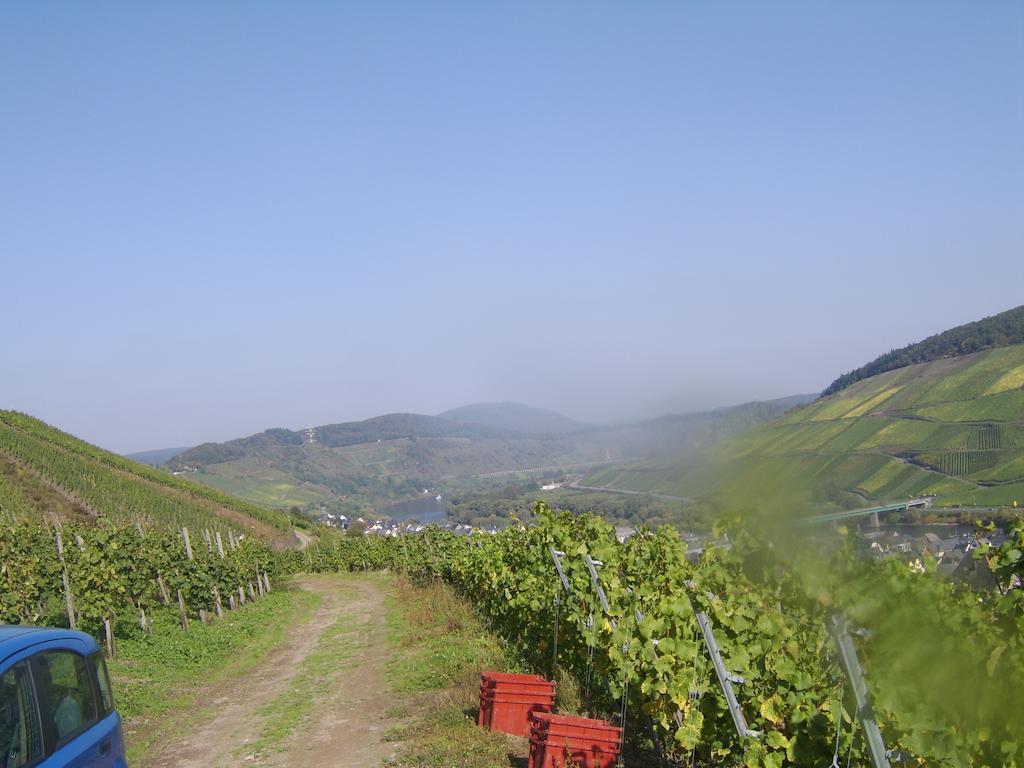 Weingut Matthias Dauns Apartman Reil Kültér fotó