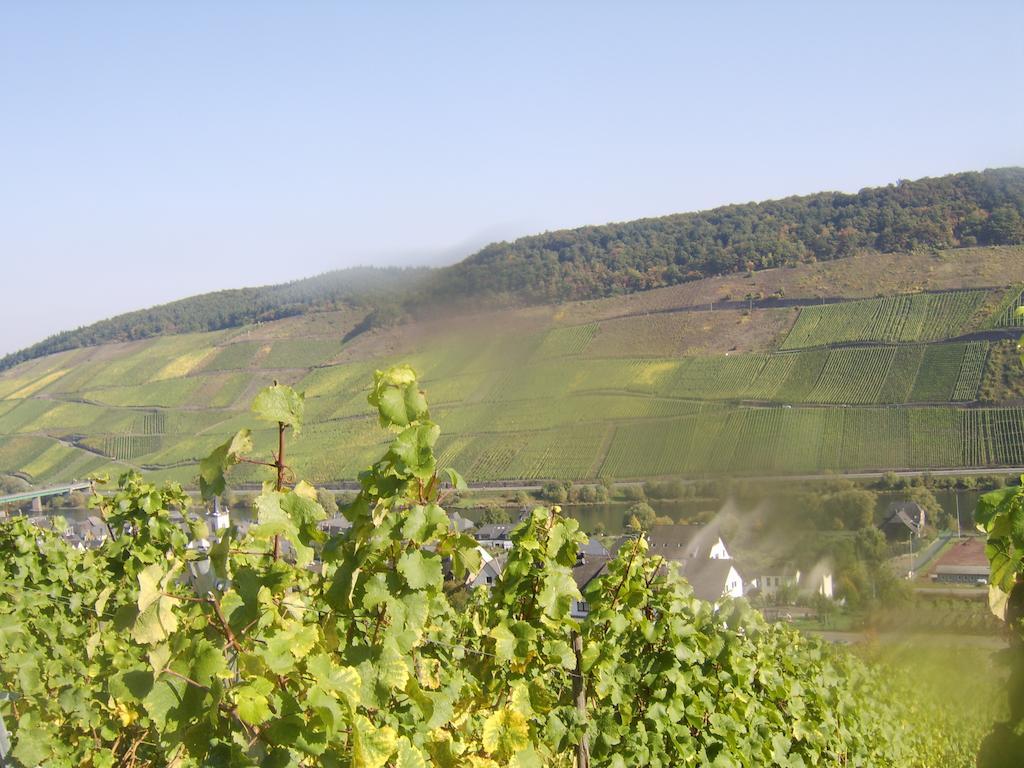Weingut Matthias Dauns Apartman Reil Kültér fotó