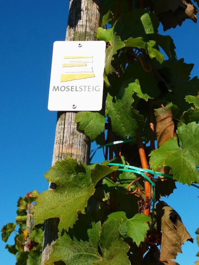 Weingut Matthias Dauns Apartman Reil Kültér fotó