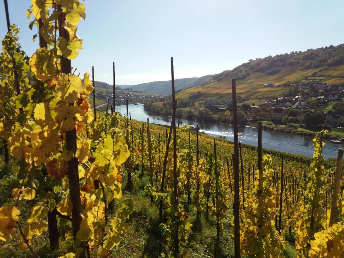 Weingut Matthias Dauns Apartman Reil Kültér fotó