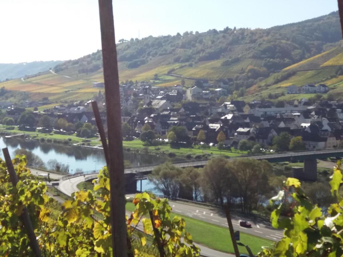 Weingut Matthias Dauns Apartman Reil Kültér fotó